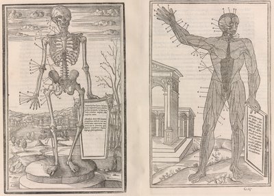 Om disseksjon av delene av menneskekroppen, bok tre, 1545 av Jean Jollat