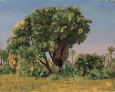 Studie av palmetrær av Jean Leon Gerome