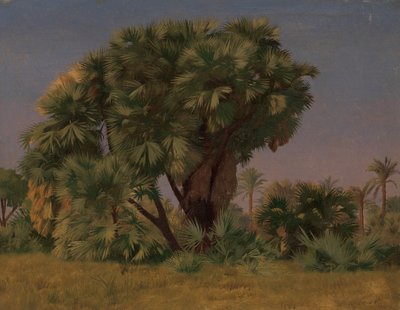 Studie av palmetrær, sannsynligvis 1868. av Jean Leon Gerome