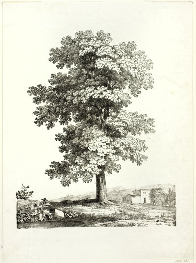 Studie av et tre av Jean Victor Bertin