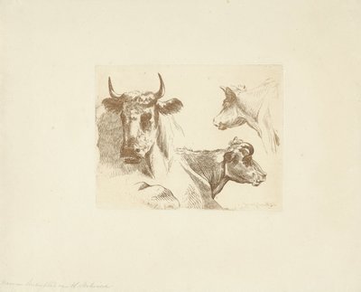 Tre kuhoder av Jean Zacherie Mazel