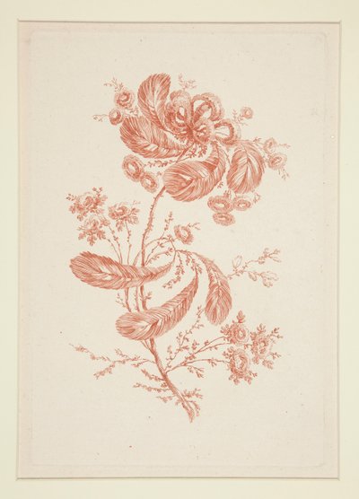 Uten tittel (Ideelle blomster), fra et sett på seks av Jeanne Deny