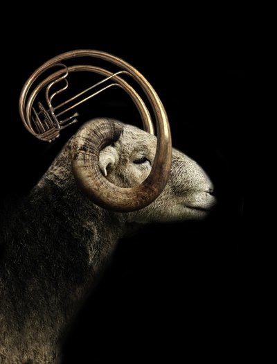 Musikkprofil for Ram av Jeffrey Hummel