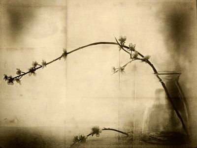 Blomsterstilleben i sepia av Jeffrey Hummel