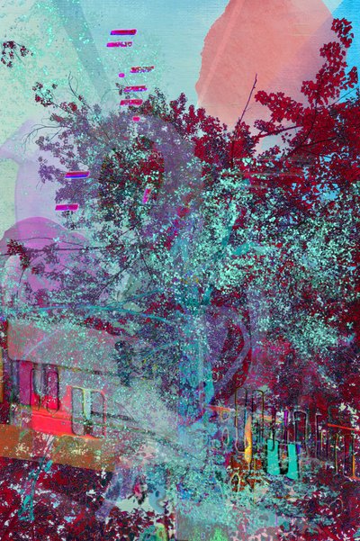  av Jenja Braun