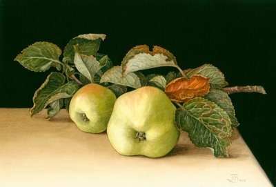 Bramleys av Jenny Barron