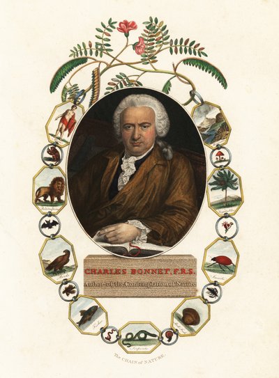 Portrett av Charles Bonnet, naturforsker i Geneve.1803 (gravering) av Jens Juel