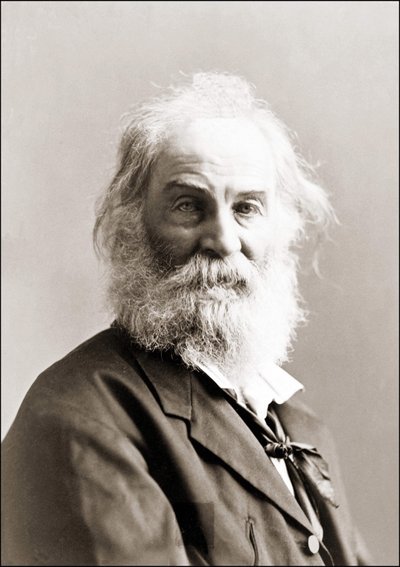 Portrett av Walt Whitman (1819 - 1892) av Gurney mellom 1880 og 1890. av Jeremiah Gurney