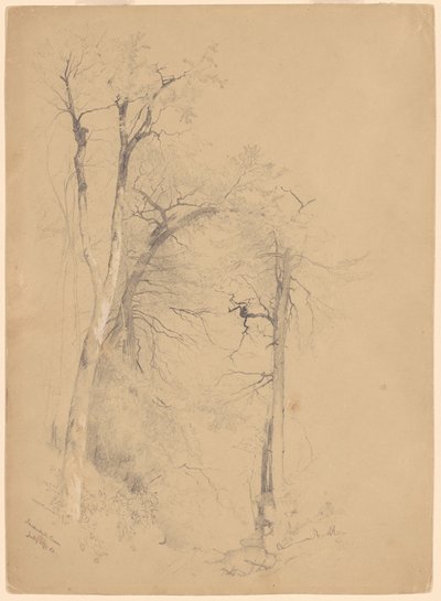Kaaterskill fedd av Jervis McEntee
