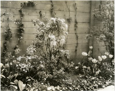 Mr & Mrs John Morgan, 39 W 11 St Center Andromeda-anlegget, Greenwich Village, New York, USA, ca. 1939-40 (foto av gelatinsølv) av Jessie Tarbox Beals