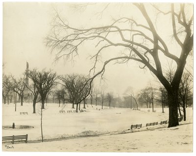 The Common, Boston, USA, ca. 1902-10 (foto av gelatinsølv) av Jessie Tarbox Beals