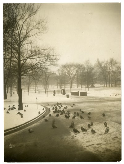 Uvanlig kaldt i Common, Boston, USA, ca. 1902-10 (foto av gelatinsølv) av Jessie Tarbox Beals