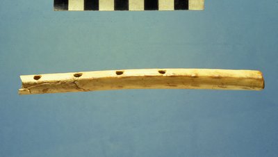 Fløyte, Davids by, ca. 799–600 f.Kr. (bein) av Jewish School