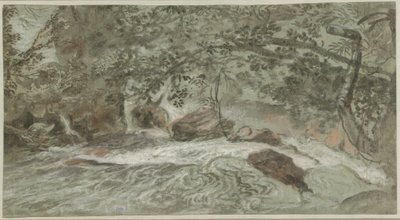 Rapids med overhengende grener (verso) av Joachim Franz Beich