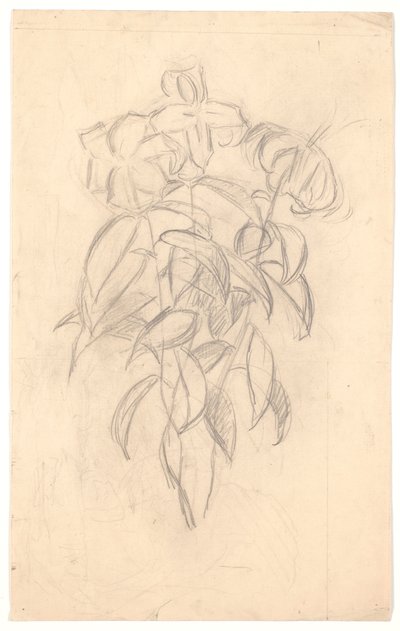 Blomsterstudie av Joakim Frederik Skovgaard