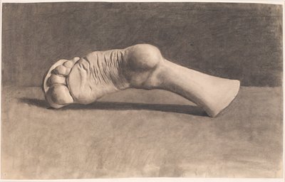 Tegning etter gips. En fot av Joakim Frederik Skovgaard
