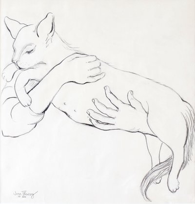 Cuddly Cat, 2000, (blyant) av Joan Thewsey