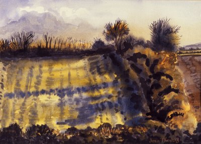Field with Long Shadows, 1990, akvarell på håndlaget papir av Joan Thewsey
