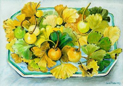 Ginkgo, frukt og blader, 2010, akvarell av Joan Thewsey