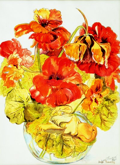 Nasturtiums, 2005, (vannfarge) av Joan Thewsey