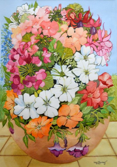 Petunia, geranier og fuksiaer i en terrassegryte, 2005, av Joan Thewsey