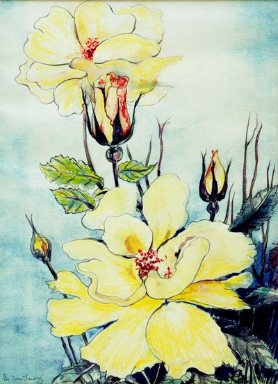 Yellow Rose in a Suffolk Breeze, 2005, (vannfarge) av Joan Thewsey