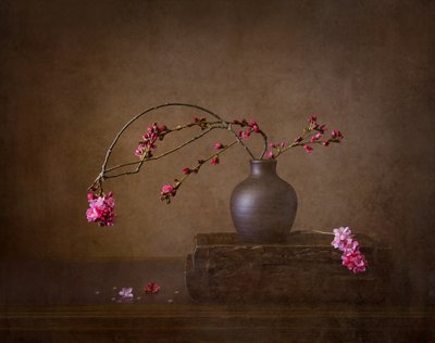  av Joanna W