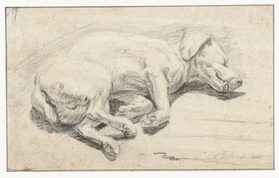 Liggende hund, sover av Joannes Fijt (attributed to)