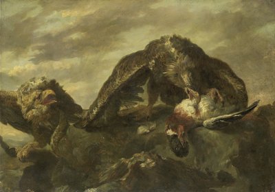 Ørne på klippene av Joannes Fijt (copy after)