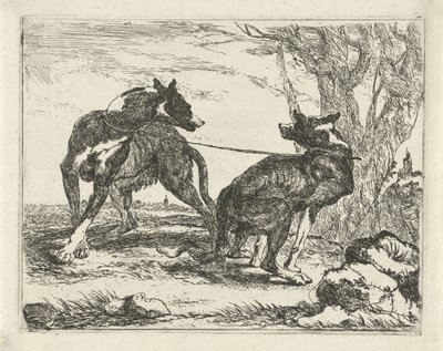 To hunder Hunder (serietittel) av Joannes Fijt