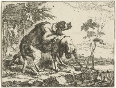 To parrende hunder Hunder (serietittel) av Joannes Fijt