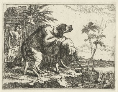 To parrende hunder Hunder (serietittel) av Joannes Fijt