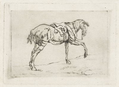 Salet hest av Joannes Pieter Visser Bender