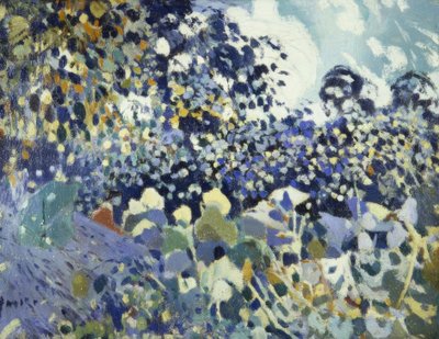 blomst av Joaquim Mir i Trinxet