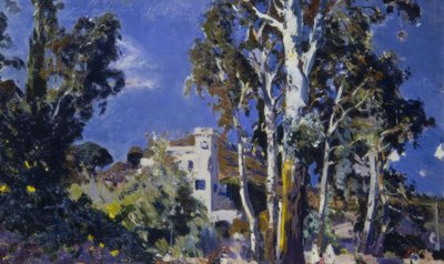 Mas Blau, Les Borges del Camp av Joaquim Mir i Trinxet