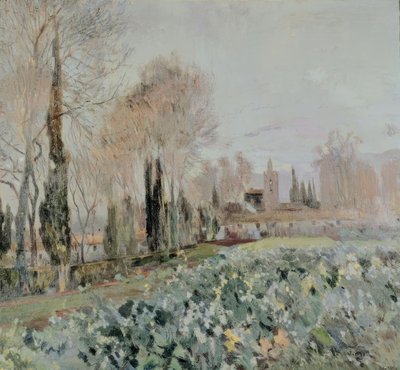 landskap av Joaquim Mir i Trinxet
