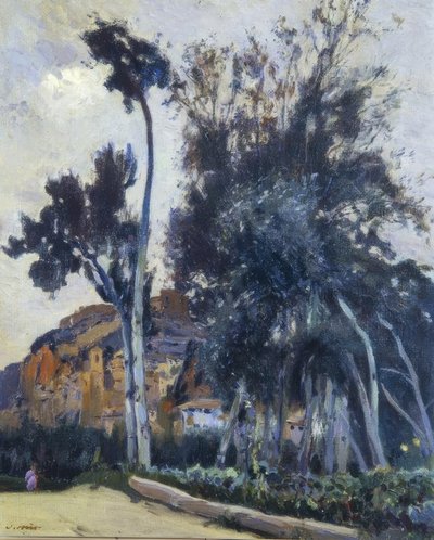 Miravet av Joaquim Mir i Trinxet