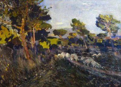 Uten navn av Joaquim Mir i Trinxet