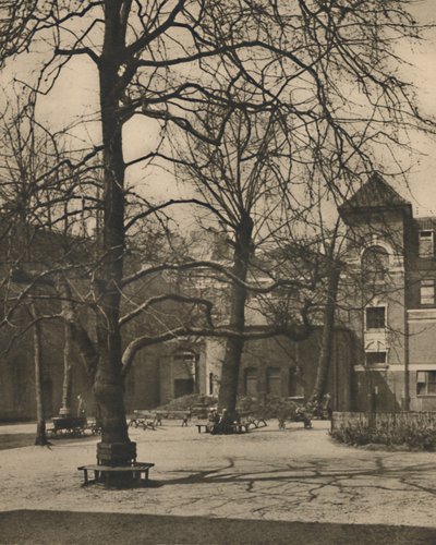 Under the Elms in the Courtyard of Middlesex Hospital, c1935. av Joel