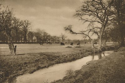 Hvor Beverley Brook slynger seg gjennom Royal Hunting Park of Richmond, c1935. av Joel