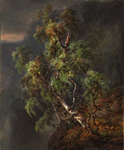 Bjørketre i en storm av Johan Christian Dahl