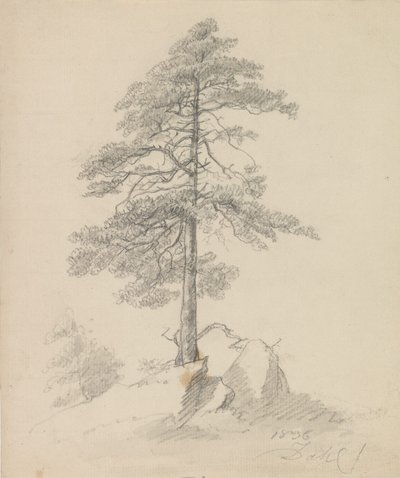 Furuer og klipper av Johan Christian Dahl