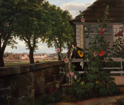  av Johan Christian Dahl