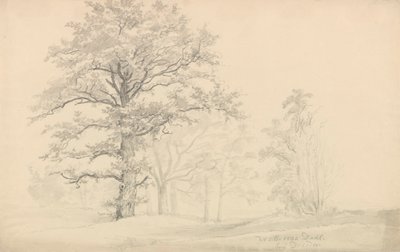  av Johan Christian Dahl
