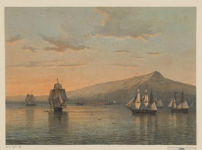 Utsikt over ankerplassen ved Anjer på Java Nellik, nordkysten av Java (Bantam-residens) av Johan Conrad Greive