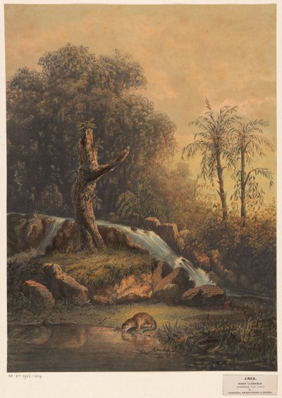 Landskap med foss og drikkeleopard Villt landskap (østlig hjørne av Java) (tittel på objekt) av Johan Conrad Greive