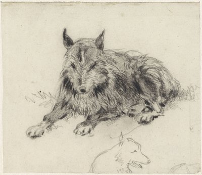 Tilbakelent fårehund av Johan Daniël Koelman