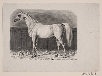 En hest av Johan Frederik Rosenstand