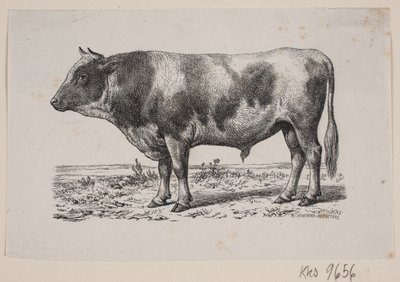 En okse av Johan Frederik Rosenstand