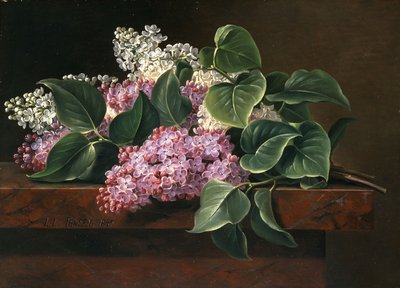 Syrin på en avsats, av Johan Laurents Jensen